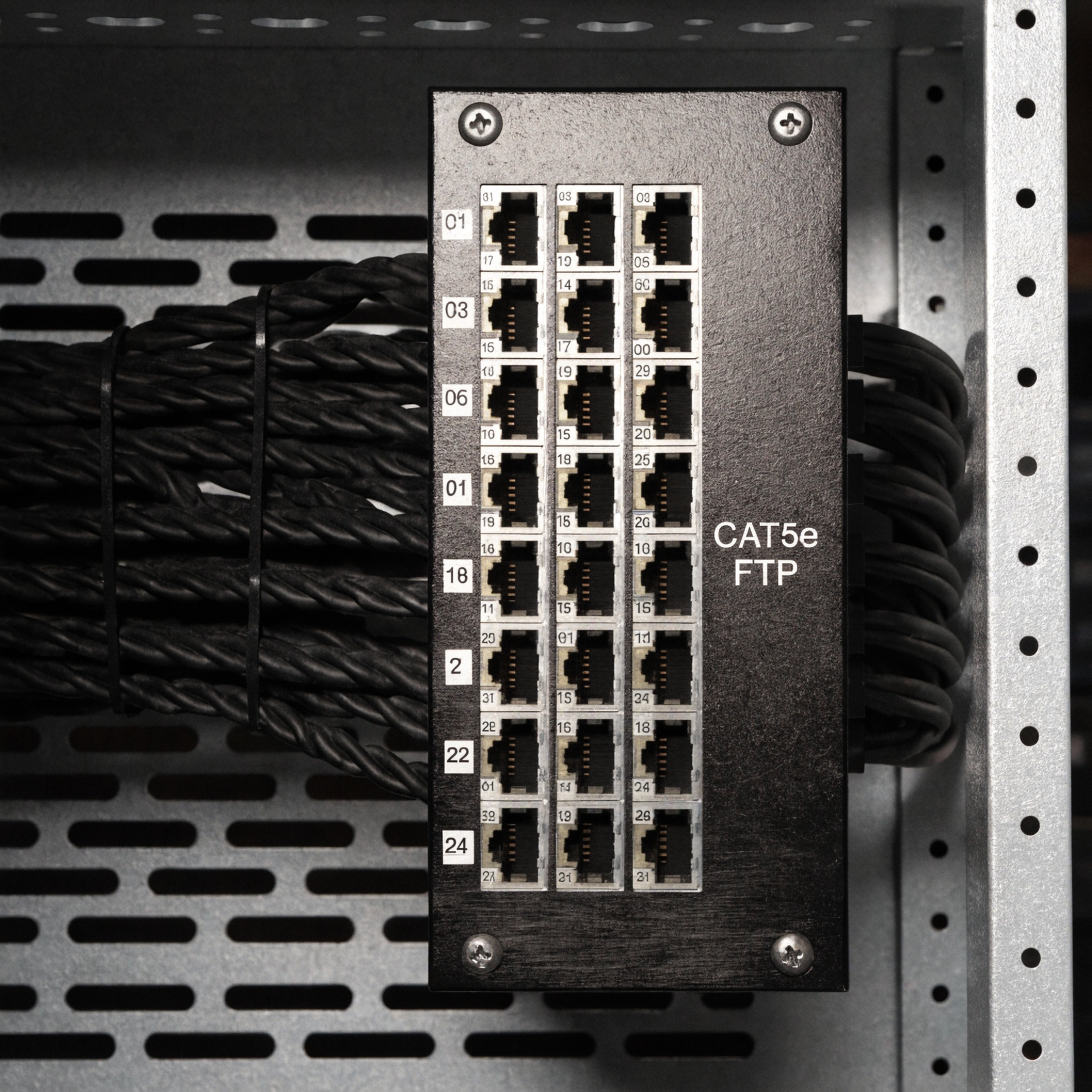 24 Port Cat5e FTP Patch Panel